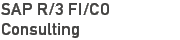 SAP R/3 FI/CO Teaser